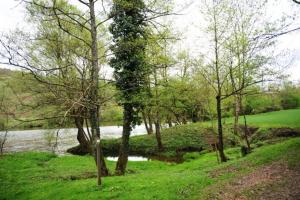 Prekrasna pokrajina ob Kolpi