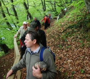 Pohodniki so uživali v pomladnem prebujanju Krajinskega parka Kolpa