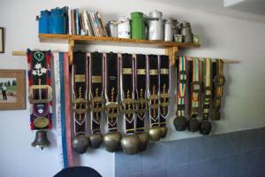 Številna priznanja za dobro rejo živali kmetija_leber_vracko(15)