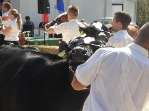 Čakanje na oceno mladi_rejci_3s