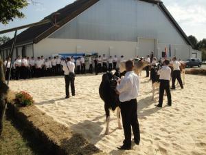 Revija živali mladi_rejci_3s