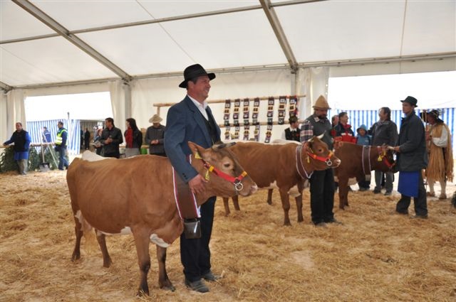 Izbor šampionke med cikami 2012