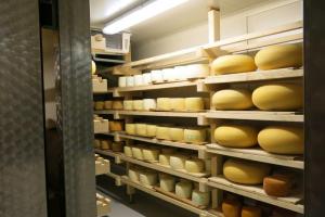 Zorilnica sirov na kmetiji Pustotnik srinica2