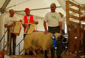 Nagrajeni najboljši rejci drobnice v letu 2011